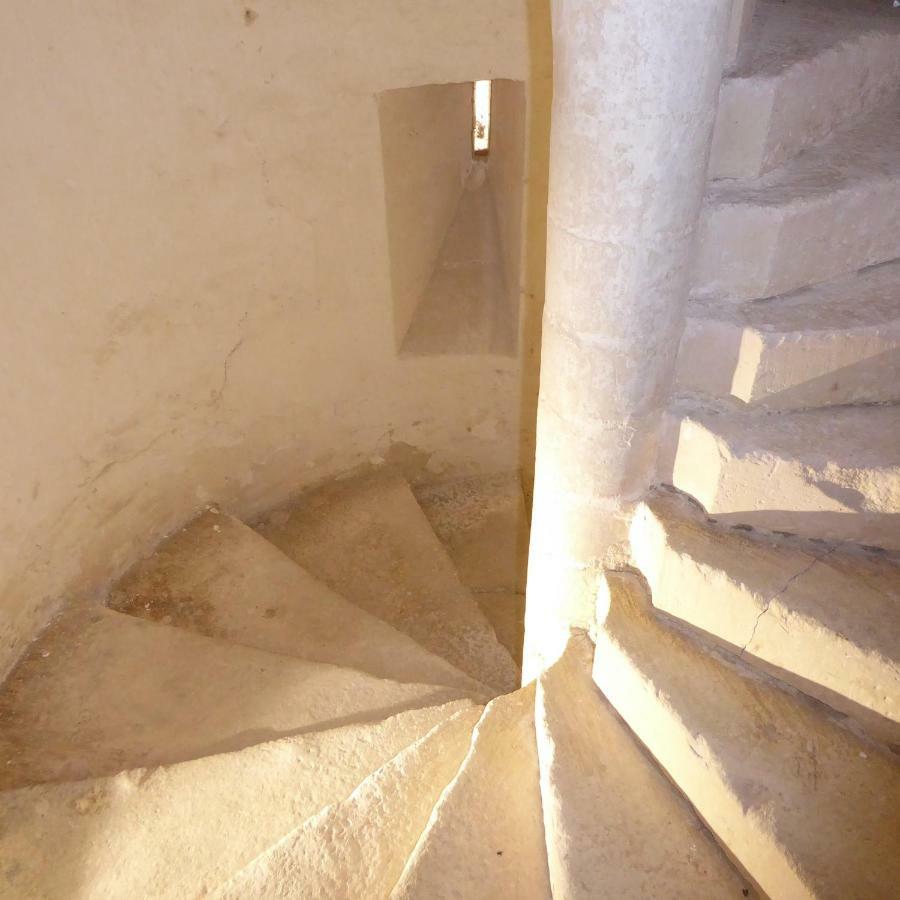 Chateau D'Annezay エクステリア 写真