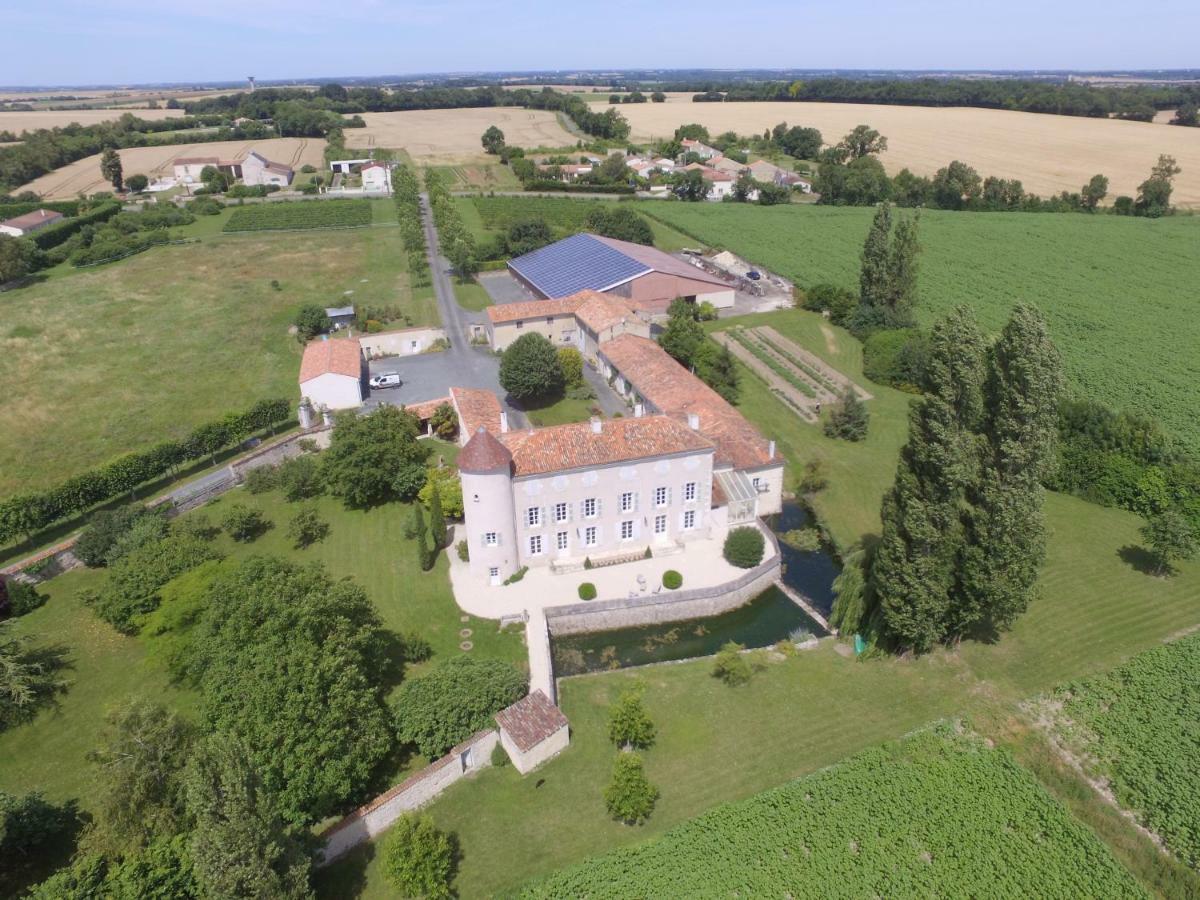 Chateau D'Annezay エクステリア 写真